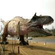 贵州铜仁侏罗纪恐龙展出租仿真恐龙模型出租厂家