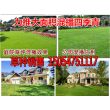 潮州水草草籽怎么吸出來2023新行情/咨詢股份有限公司