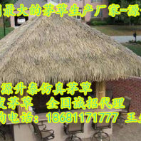2023信息推荐#滁州南谯地毯茅草铺装/塑料茅草厂家