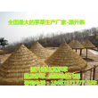 欢迎访问##鸡西虎林地毯茅草价格/塑料茅草厂家