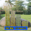 2023欢迎##那曲竹篱笆竹节围栏惠州惠城绿化护栏货到付款
