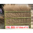 2023欢迎##吉林洮北竹篱笆竹子护栏广东梅州竹节围栏货到付款