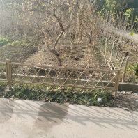 2023歡迎##珠海市竹籬笆竹子圍欄內蒙古阿拉善盟竹柵欄貨到付款