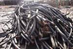 抚州各种报废电缆电线回收 抚州废旧电缆回收