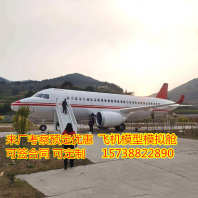 淮安飛機客機模型出售專業廠家