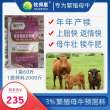 供應天津牧得惠3%繁殖母牛預混料空懷期妊娠期哺乳期都適用