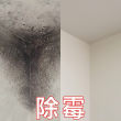 广州专业处理发霉公司，天花板潮湿发霉，清洁墙壁发霉