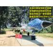 潮州景區大型軍事展廠家,殲十飛機模型
