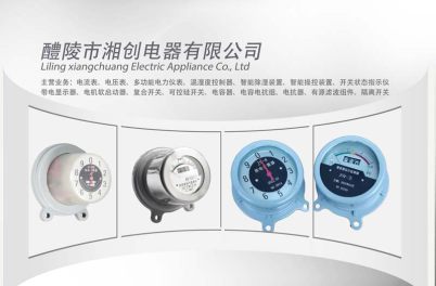 2024蚌埠市T-100温度传感器##厂家报价