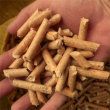 陵川散装生物质木质颗粒橡木料