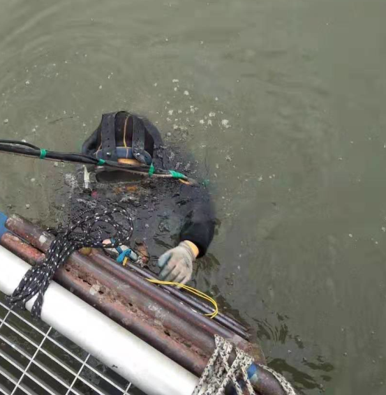 首页~~水下桩基检测衡水市深州市## 团队