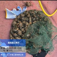 呼伦贝尔市阿荣旗潜水堵漏0-60米水下作业