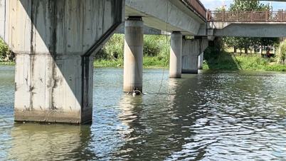 锡林郭勒盟二连浩特市桩基检测免费咨询