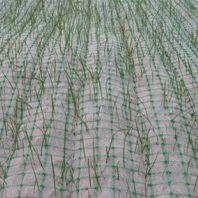 天水張家川椰絲植物纖維毯多少錢歡迎訪問
