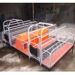 豬床網 母豬產床 歐式產床價格 仔豬保育床 定位欄 養豬設備