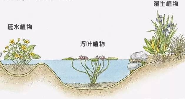 武漢河道水質跨界整治治理技術指導——有限集團