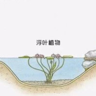 珠海河道菌種生態治理修復配套方案——實業股份有限公司