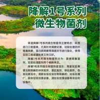 信陽河湖生態修復菌劑方案——責任有限公司