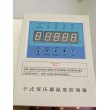 WP-T401-70-12-L	智能單光柱測控儀廠家湘湖電器