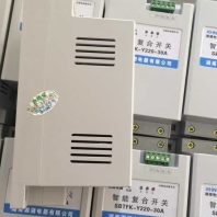 DM1100天寧哪家公司湘湖電器