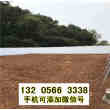 歡迎##四川省馬爾康縣綠化圍欄| 