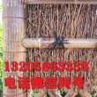 歡迎##杭州下城竹子柵欄|使用壽命長