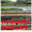 欢迎##湖南省汉寿县仿竹篱笆|环保耐用