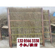 欢迎##广东省罗湖竹子围栏|环保耐用