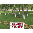 欢迎##贵州省兴义市竹子护栏|使用寿命长