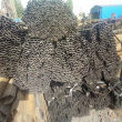 忻州薄壁鸭蛋圆管 围栏网用厂家