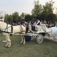 2021歡迎訪問##泰州婚禮馬車批發銷售##實業集團