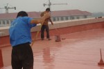 滁州墙体防水涂料
