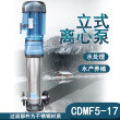 供應現貨CDMF5-17FSWSC多級不銹鋼增壓泵工業清洗