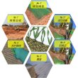 遼寧丹東天然鈉基膨潤土防水毯廠家-廠家直銷-價格優惠