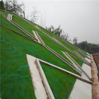湖北荆州三维土工网垫厂家三维土工网垫<2024+发货一览>