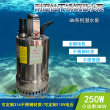 供应QN5-7-0.25KW超前牌不锈钢潜水电泵