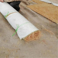 惠州植物生态防护毯——椰纤毯***规格结构