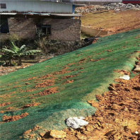 金华护坡植被植草毯——植物生态植被垫***有限公司