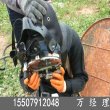 首页-惠州龙门县水下打捞专业团队