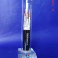圖CHJPJ95/SC船用電纜國標供應(yīng)3*50工藝