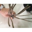 电缆BPGGPP2变频器电缆现货4*6
