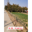 欢迎##襄樊谷城仿竹篱笆竹节护栏|丽江竹篱笆价格