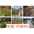 欢迎##扬州宝应仿竹篱笆竹节护栏|九江菜园栏杆