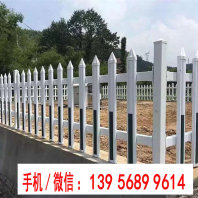 歡迎##葫蘆島市興城仿竹籬笆塑鋼柵欄|城口仿竹欄桿