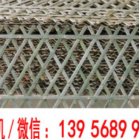 歡迎##大慶市肇源仿竹籬笆塑鋼圍欄|黃龍竹籬笆廠家