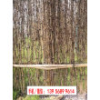歡迎##菏澤市巨野仿竹籬笆Pvc護欄|廣陵竹片圍欄