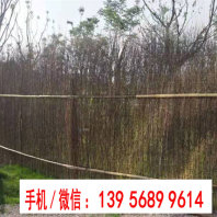歡迎##河南洛陽偃師仿竹籬笆竹籬笆價格|內蒙古花園柵欄