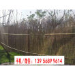 歡迎##梅州市蕉嶺仿竹籬笆竹片護欄|大新菜園欄桿