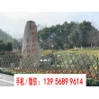 欢迎##贵州黔东州仿竹篱笆花园植物爬藤架围栏|临沂市竹片护栏