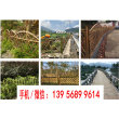 欢迎##九江市浔阳仿竹篱笆竹节围栏|安徽安庆市大观仿竹栏杆